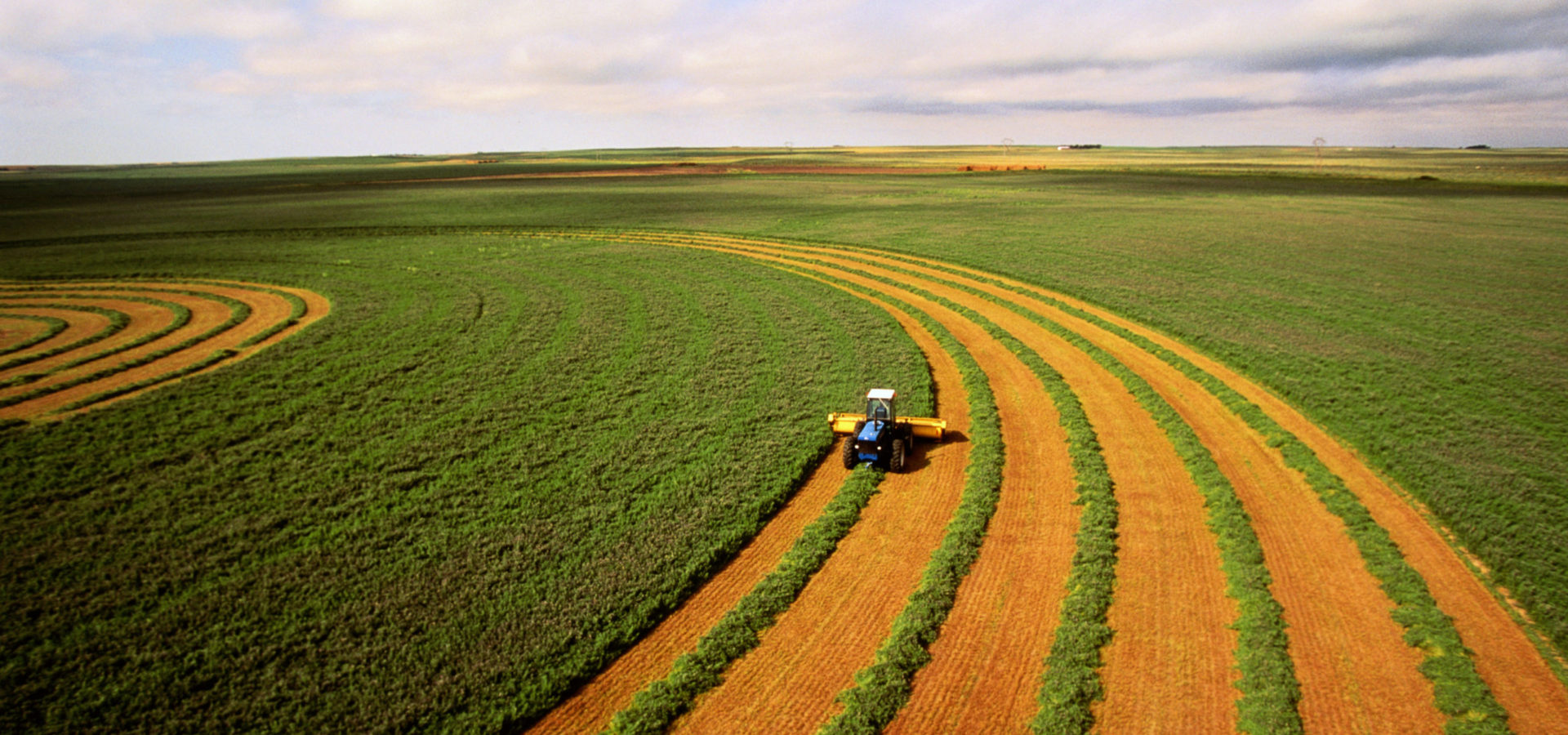 Harvesting alfalfa crop, aerial view