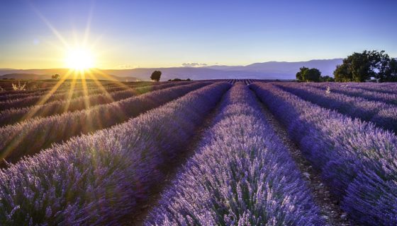 Crédit Agricole Assurances recrute des gestionnaires en Provence