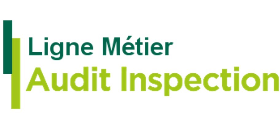 Ligne-metier-Audit-Inspection