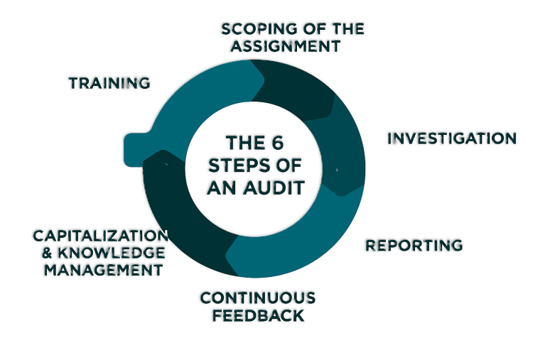 1 TRAINING / 2 SCOPING OF THE ASSIGNMENT / 3 INVESTIGATION / 4 REPORTING / 5 CONTINUOUS FEEDBACK