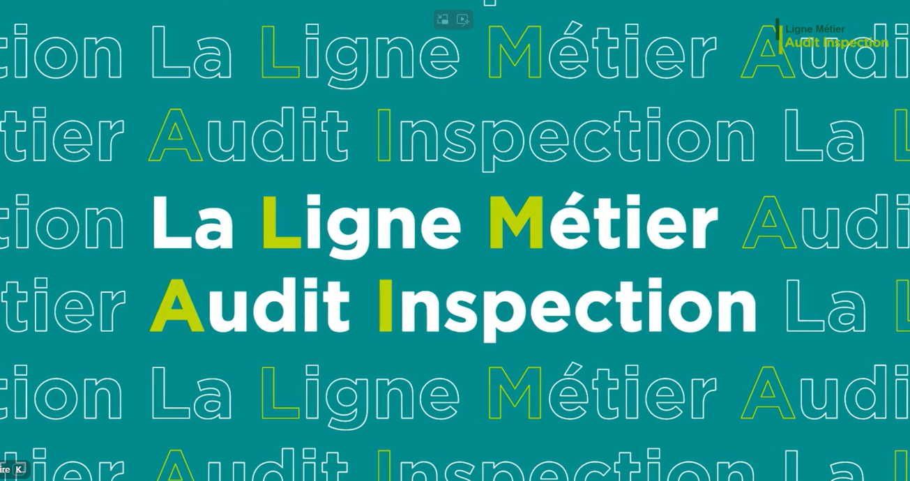 Ligne métier AUDIT INSPECTION